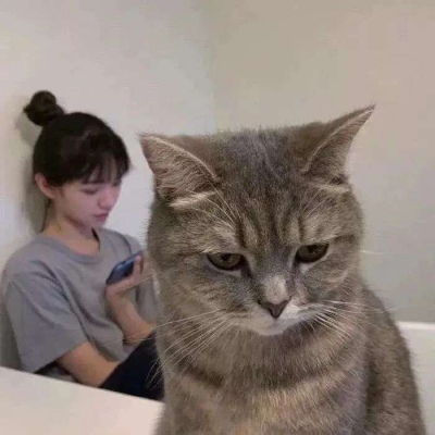 引用内容可能伪规暂时被隐藏