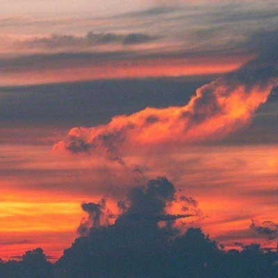 你小子没你不敢干的